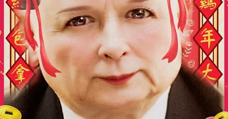 Polscy politycy w japońskich stylizacjach. Ależ piękni!