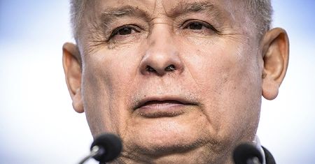 Tylko w WP. Olbrzymi spadek PiS w najnowszym sondażu. Reakcja partii zdumiewa