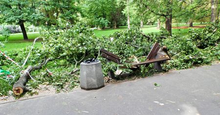 W Parku Praskim zawaliło się drzewo na matkę z dzieckiem. "Nawet nie pożegnałam się z córką"
