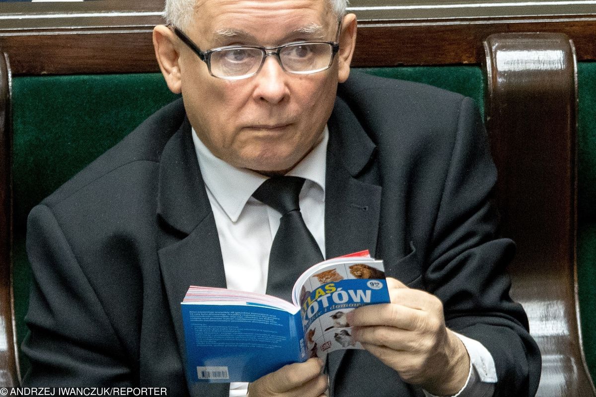 To było hitem. Kaczyński tłumaczy, dlaczego czytał w Sejmie "Atlas kotów"