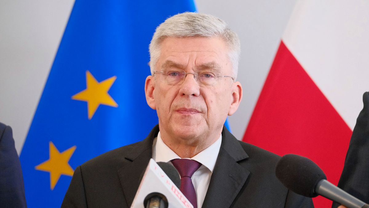 Wicemarszałek Senatu Stanisław Karczewski