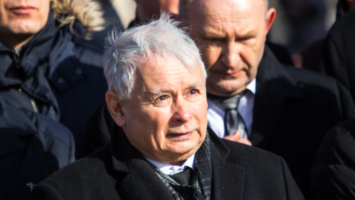 Wyborcy PO mocno się różnią w pomysłach, na co przeznaczyć miliardy z "piątki"