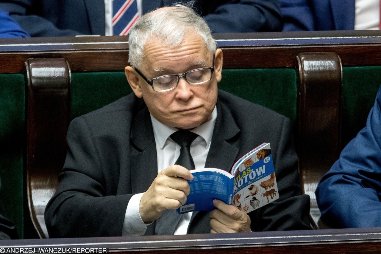 Celebryci kontra Jarosław Kaczyński. Kto to powiedział?