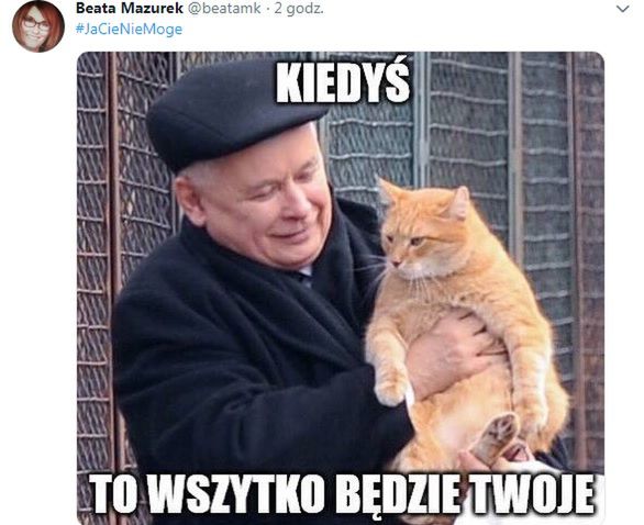 Rzeczniczka PiS "wygrała w internety". Wrzuciła mema prezesa PiS z kotem