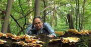 Polak na grzybobraniu. Pomylić muchomora z kanią, to jak nie odróżnić konia od krowy