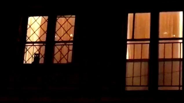 Kot w oknie domu Jarosława Kaczyńskiego