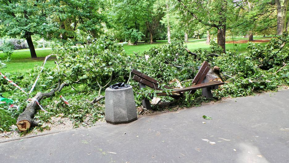 Tragedia w Parku Praskim
