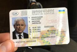 Prawo jazdy Jarosława Kaczyńskiego do kupienia. "Chodzi po 3 zł na Ukrainie"