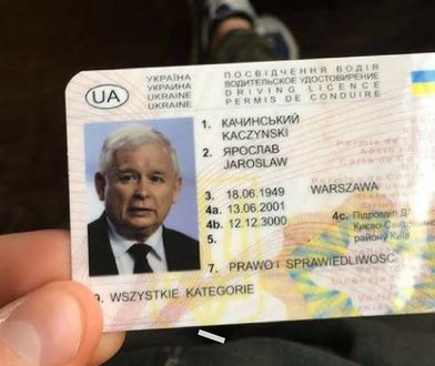 Prawo jazdy Jarosława Kaczyńskiego do kupienia. "Chodzi po 3 zł na Ukrainie"