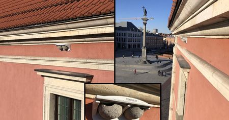 Zamek Królewski w Warszawie zaprasza w swoje "progi" jaskółki