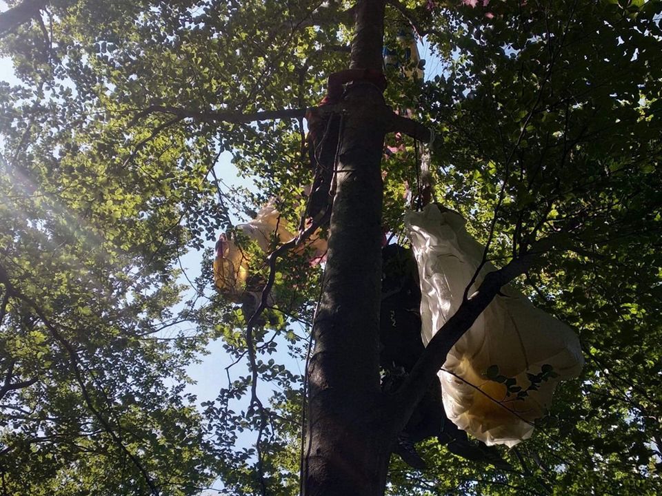 Beskidy. Uwięzieni w koronie drzewa na Górze Żar, interweniował GOPR