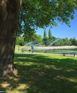 Warszawa. Mężczyzna zmarł na Polu Mokotowskim. Zatrzymano jedną osobę