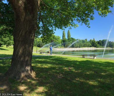 Warszawa. Mężczyzna zmarł na Polu Mokotowskim. Zatrzymano jedną osobę