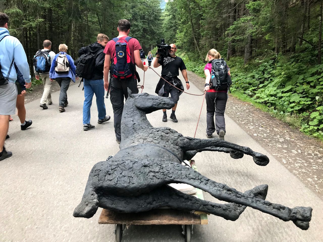 Zakopane. Człowiek wciągnął konia nad Morskie Oko