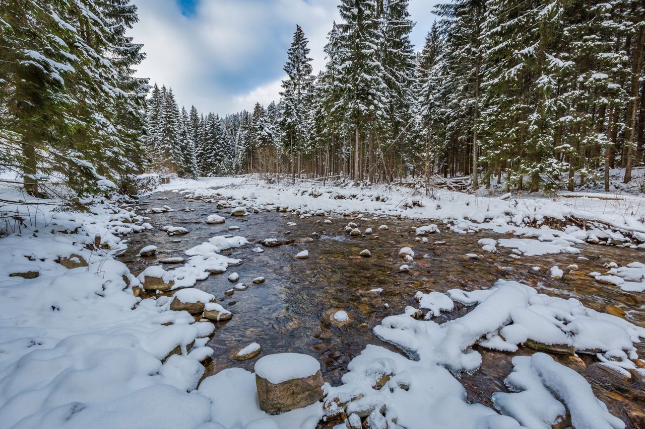 Tatry: drugi stopień zagrożenia lawinowego w górach