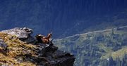 Słowackie Tatry przyciągają. Miejsce idealne dla miłośników pieszych wędrówek i amatorów dwóch kółek
