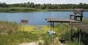 Wysychają najpiękniejsze jeziora Wielkopolski. Prognozy są niepokojące