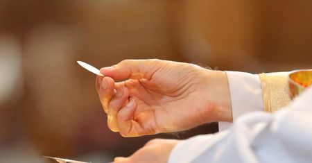 Lubelskie. Las, a w nim ciało 17-latki. Nie chciała żyć bez księdza