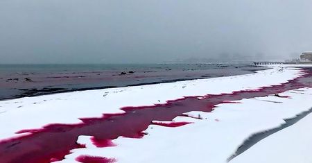 Niesamowite zjawisko w Kazachstanie. Brzeg spowiła czerwona ciecz