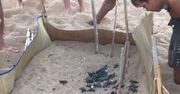 Wielkie rzeczy mają zazwyczaj małe początki. Postawa tych plażowiczów zasługuje na szacunek