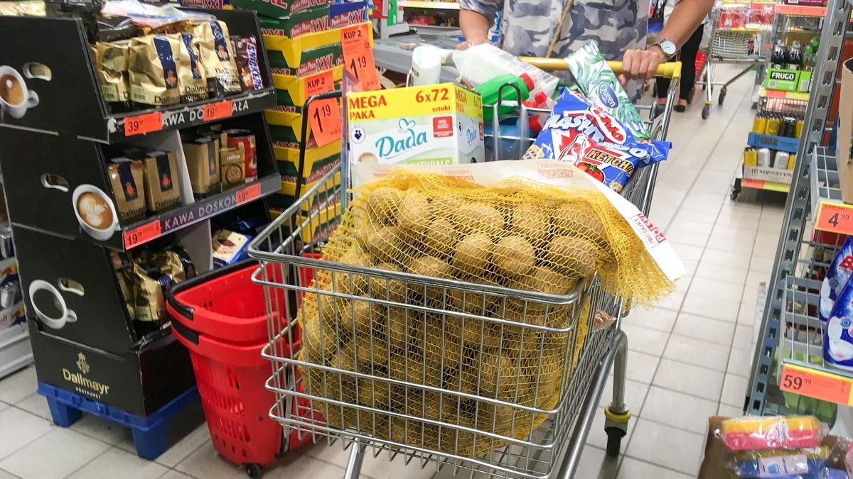 Zyski dużych firm handlu detalicznego poszły mocno w górę, rośnie też liczba małych sklepów