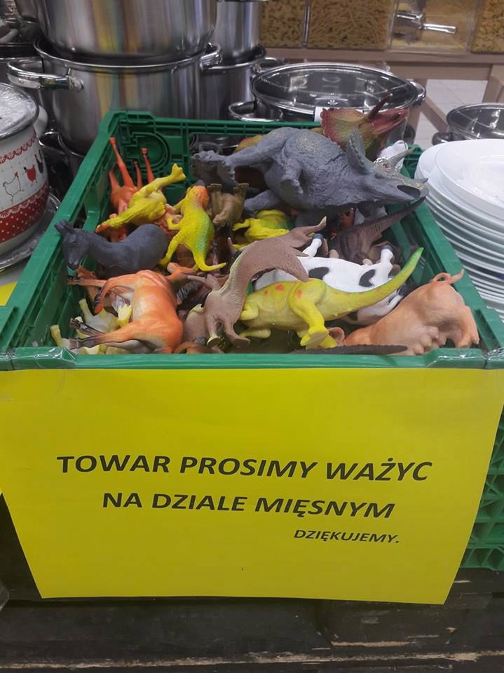 Proszę mi zważyć jeszcze tyranozaura. Takie rzeczy tylko w Toruniu