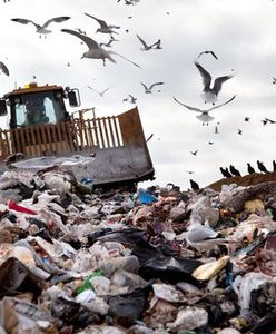 Przeciętna rodzina w Polsce wyrzuca 200 kg żywności rocznie. Jest sposób, żeby tego nie robić