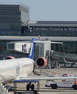 Zaginiony kot na lotnisku wrócił do właścicieli. "Wychudzona, w ogromnej traumie"