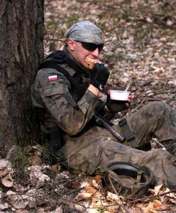 Nowe fakty w sprawie "konserw z ASF". 300 ton mieli zjeść żołnierze