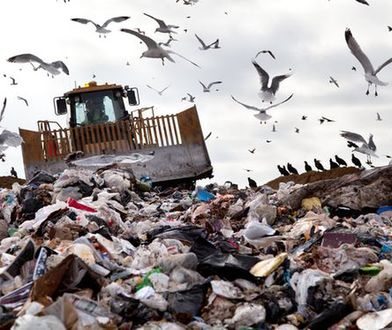 Przeciętna rodzina w Polsce wyrzuca 200 kg żywności rocznie. Jest sposób, żeby tego nie robić