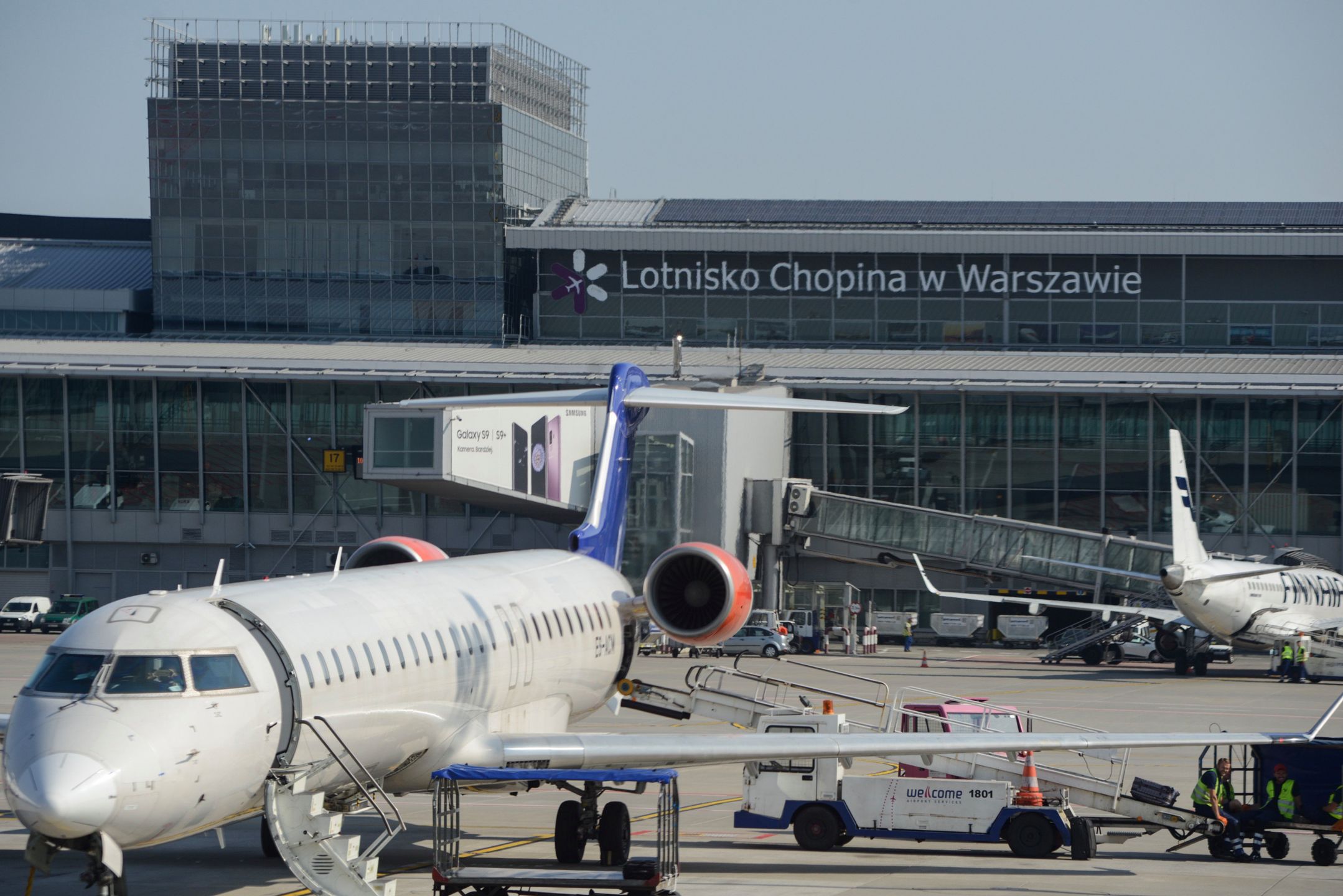 Zaginął kot na lotnisko Chopina