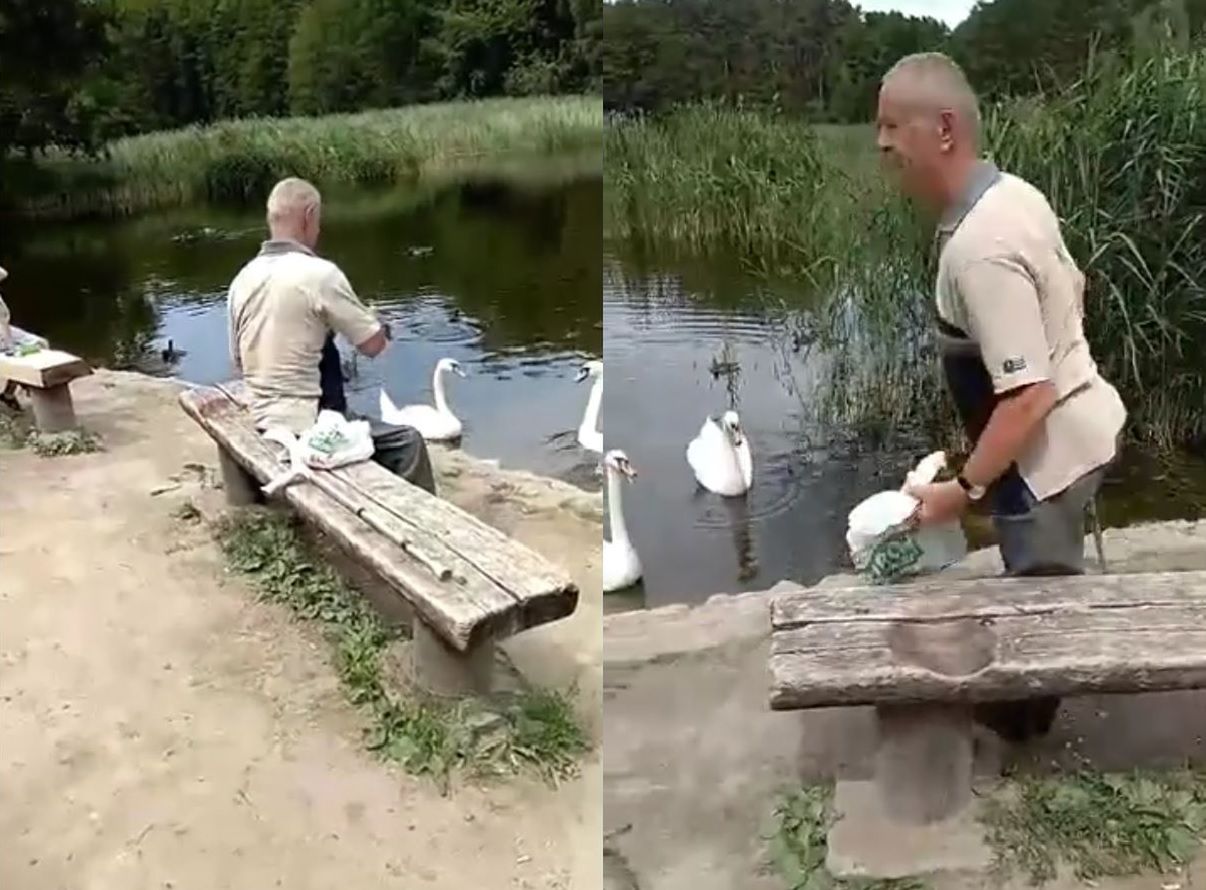 Miał okrutnie mordować kaczki w Poznaniu. Szuka go policja