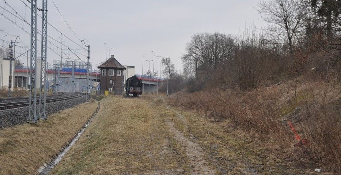 W okrutny sposób zabił psa. Zawinął w koc i wyrzucił