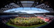 Austriacki stadion piłkarski z lasem na boisku [ZDJĘCIA]