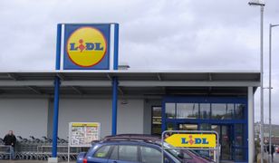 Lidl wycofuje plastikowe jednorazówki. W tym sezonie tylko biodegradowalne zamienniki