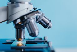 Wsparcie dla młodych naukowców