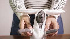 Pomysł na biznes: Ekologiczne zabawki i nie tylko