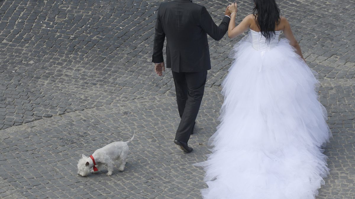 Prezenty ślubne podlegają opodatkowaniu