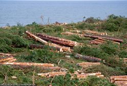 Mierzeja Wiślana: Bruksela ma wątpliwości w sprawie przekopu. W piątek spotkanie polskich władz z przedstawicielami KE