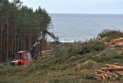 Mierzeja Wiślana: rzecznik Komisji Europejskiej potwierdza planowane spotkanie ws. przekopu