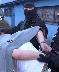 Policjanci zlikwidowali plantację marihuany. Była warta ponad milion złotych