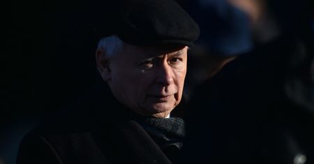 Jacek Żakowski: Święte krowy "dobrej zmiany" [OPINIA]