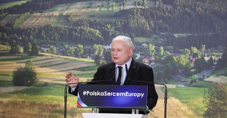 500 zł na krowę PiS nie sfinansuje z budżetu. Sięgnie po pieniądze z Unii