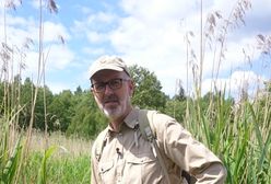 Leśnik i celebryta opowiada o tym, jak wygląda "sekretne życie drzew". Rozmowa z Peterem Wohllebenem