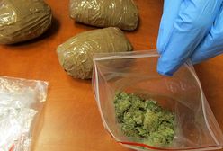 Pomorscy policjanci zatrzymali w Rumi 32-latka. Mężczyzna przewoził w walizce 9 kg marihuany