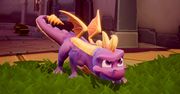 Jak wytresować smoka? Ten w Spyro: Reignated Trilogy będzie bardzo rozbrykany