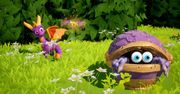 Pudełkowa wersja Spyro Reignited Trilogy coś nie płonie