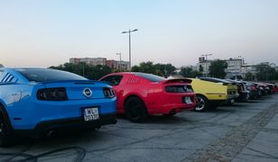 Mustangi ze Stajni Mazowieckiej przed Stadionem Narodowym