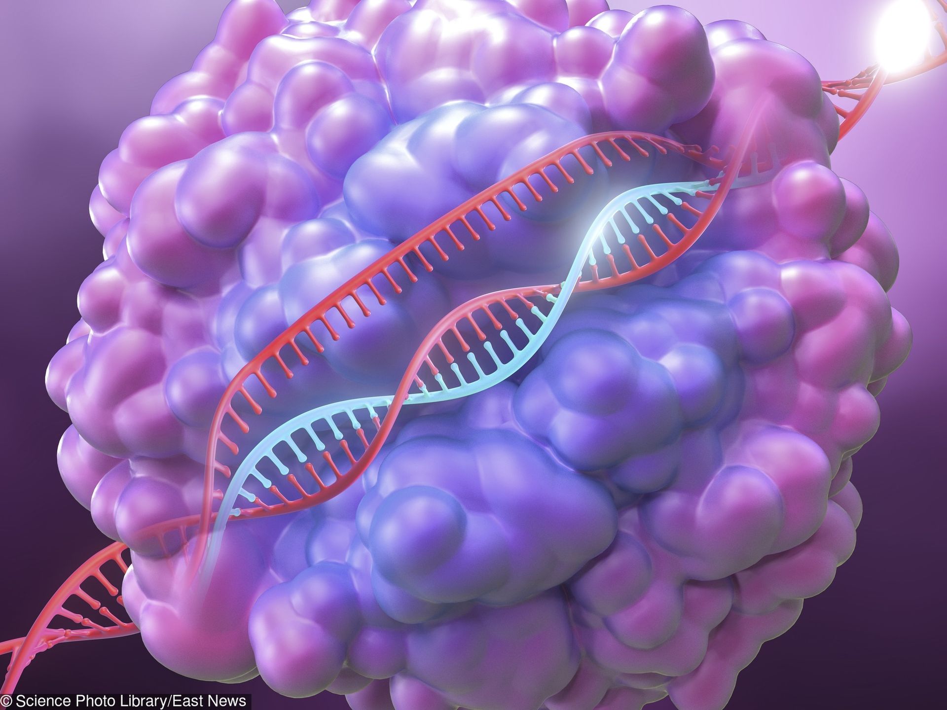 Technologia Crispr/Cas9 staje się coraz bardziej popularna