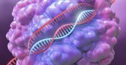 Naukowcy obawiają się nowego rodzaju broni. Syntetyczno-biologiczny wirus już powstał